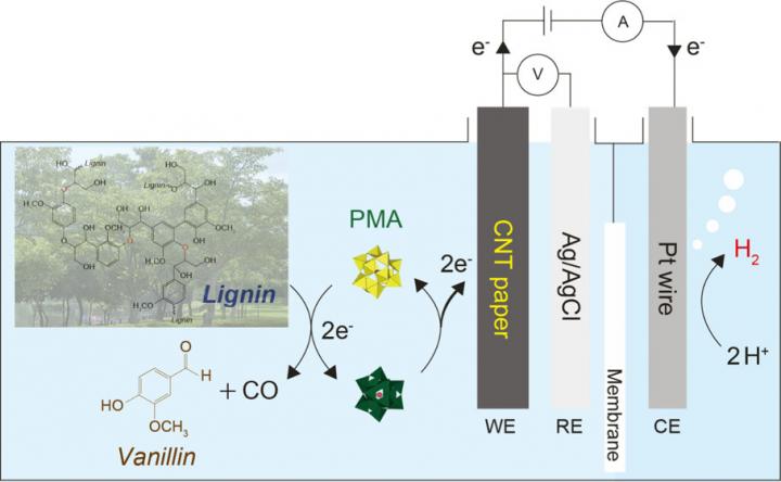 A Novel Biofuel System for Hydrogen Production from Biomass 1 UNIST Hydrogen