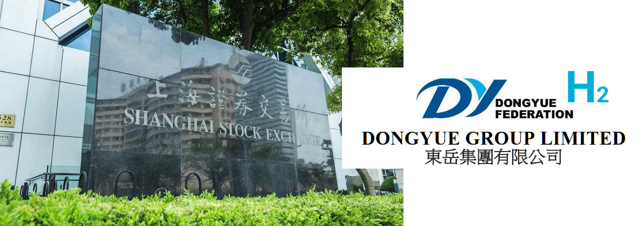 DONGYUE GROUP LIMITED