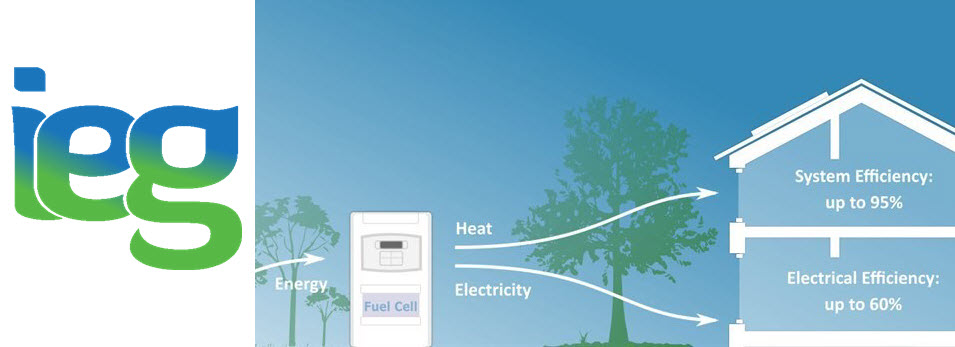 IEG Fuel Cells for Home