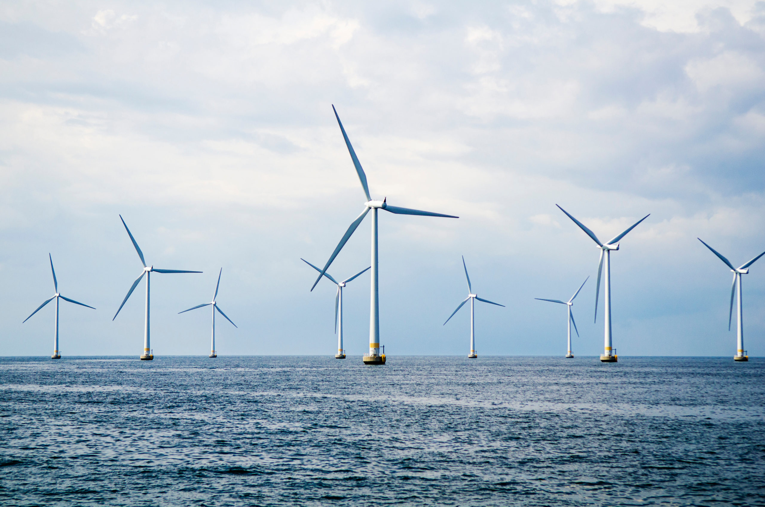 Wind Projects Shutterstock 1 scaled