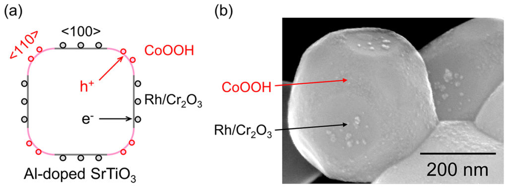 Shinshu University PhotoCatalyst