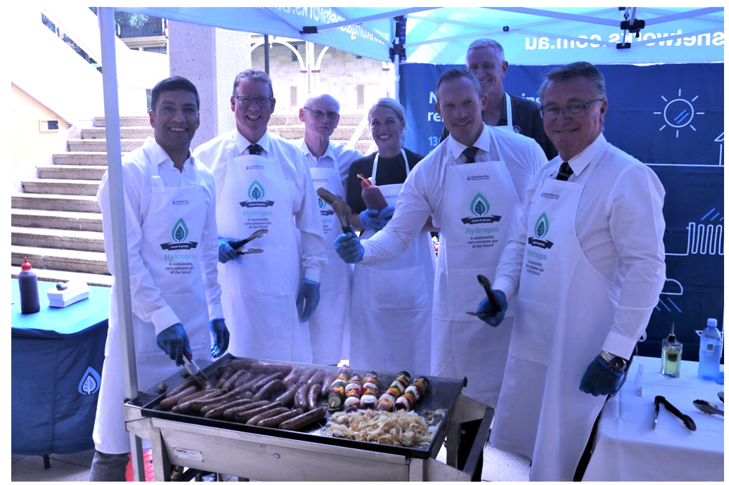 Queensland: Hydrogen To Power Homes, Industry And Backyard BBQ's 1 Hydrogen To Power Homes Industry And Backyard BBQs