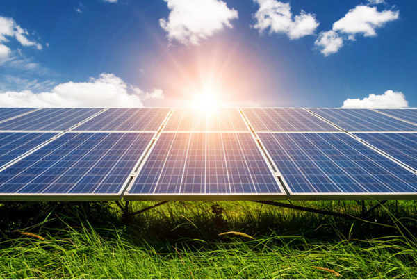 Green Hydrogen: Project Utilizing NEDO Study Results Wins First Place at International Artificial Photosynthesis Competition 3 Fuel cells works, hydrogen, Australia, RWE, Fuel Cells