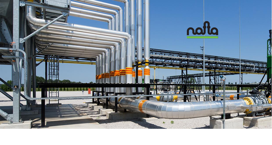 Fuel Cells Works, H2 Infrastructure Projects Reflecting the Slovakian Gas Industry’s Ambition to Meet Future Hydrogen Demand