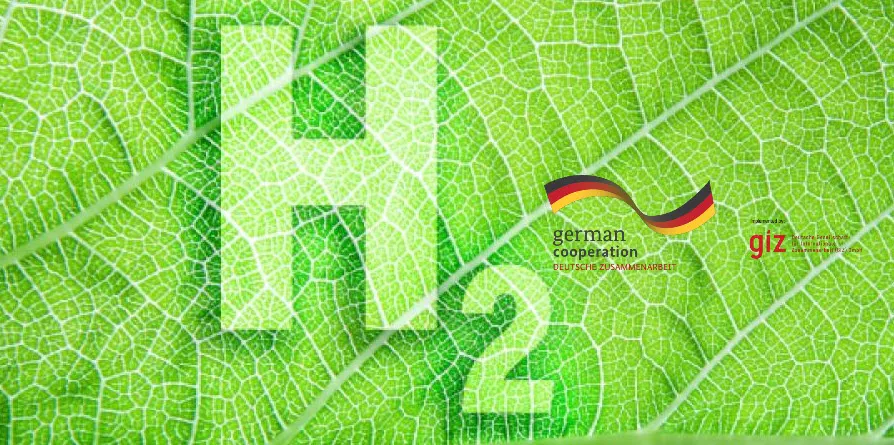 Worldwide Project to Promote the Energy Transition Through Green Hydrogen