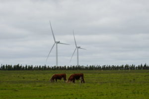 Fuel Cells Works, In Uruguay, Greening Transport Is the Next Stage of the Energy Transition