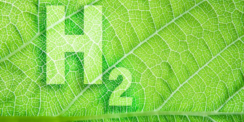 TAQA's Green Hydrogen Projects in Advanced Techno-Feasibility Stage 1 Fuel Cells Works, TAQA's Green Hydrogen Projects in Advanced Techno-Feasibility Stage