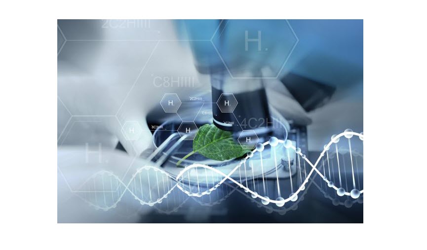 Leibniz Researchers Are Developing a New Type of Hydrogen Battery 1 wasserstoff zukunft 620x414 1