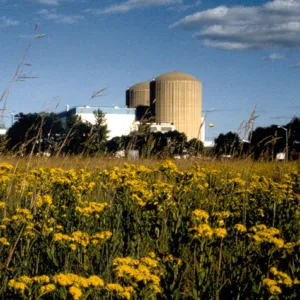 4 Nuclear Power Plants Gearing Up for Clean Hydrogen Production