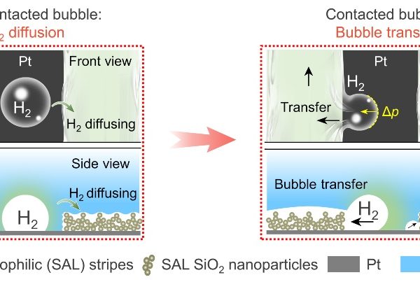 Better Hydrogen Transfer Brings Better Hydrogen Evolution Reaction Performance 3 Fuel Cells Works, Better Hydrogen Transfer Brings Better Hydrogen Evolution Reaction Performance