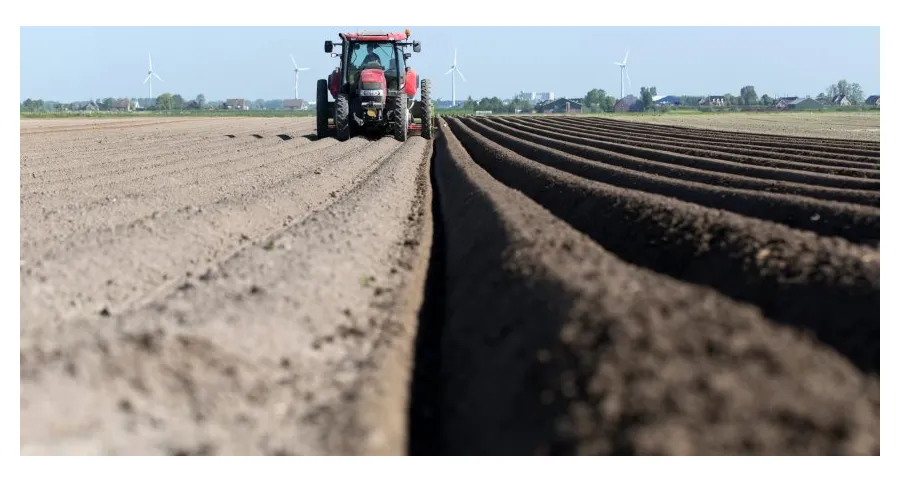 Comparative Fiscal Effectiveness: Subsidy vs. Broad Stimulus