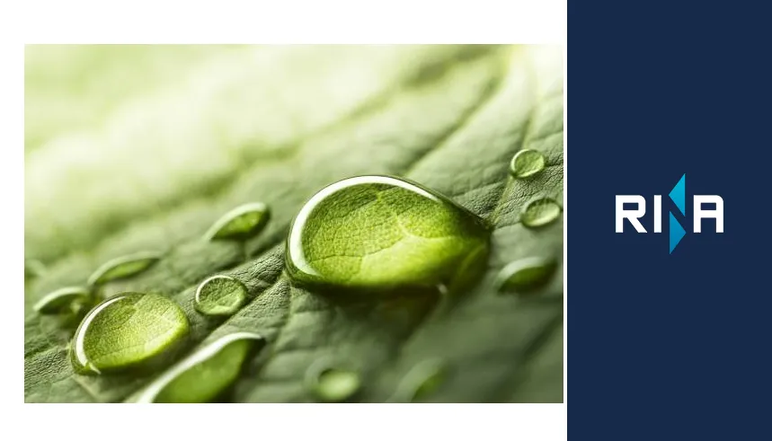 European Commission Backs RINA’s Hydra Project to Drive 100% Hydrogen ...