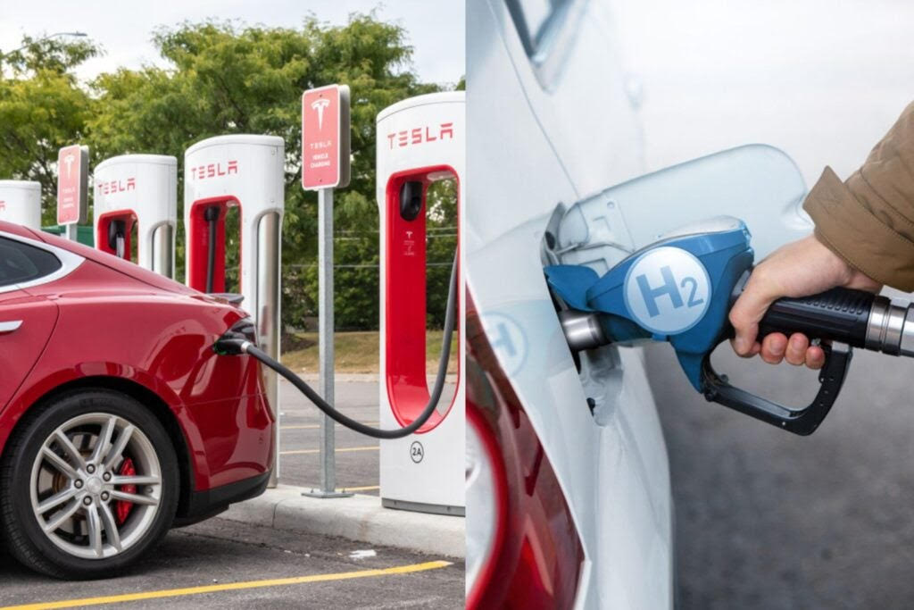 Amid Elon Musk's Visit To Beijing For FSD Push, China Is Eyeing 'Economical' Hydrogen-Powered Vehicles As Next Alternative For Green Energy Transition - Vimarsana News
