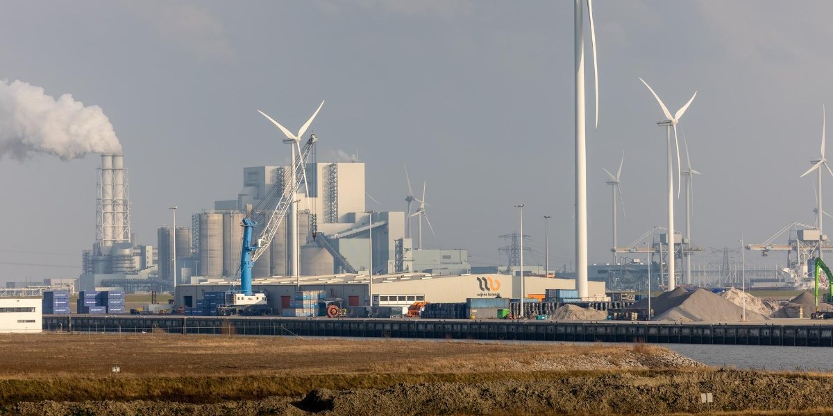 Netherlands Allocates €250 Million In Subsidies To Seven Green Hydrogen Initiatives - Vimarsana News